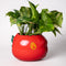apple ceramic pencil cup laying on its side with 'bite' taken out of the top with 'easy does it' fruit sticker on the side with plant inside