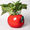 back view of apple ceramic pencil cup laying on its side with 'bite' taken out of the top with 'easy does it' fruit sticker on the side with plant inside