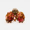 front view of leopard print and pink orchid with charm hair claw