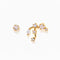Constellation Studs