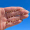 model holding crystal constellation studs