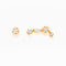 Constellation Studs