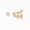 Constellation Studs