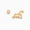 Constellation Studs