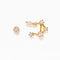 Constellation Studs