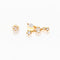 Constellation Studs