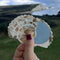 model holding white and tan seashell pocket mirror