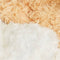 up close of fur of brown dog and white + grey dog hugging warmie plushes