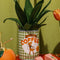 green and white checkered coffee can planter with 'FIRST RODEO COFFEE' label across the front