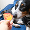 model holding red pin with gold lettering 'EMOTIONAL SUPPORT DOG' and hot dog graphic up to their dog