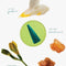 top note: gardenia, heart note: freesia, base note: frankincense