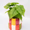 top view of colorblock checker ceramic planter