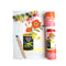 8x10 paint by numbers kit with poppies in a olive oil can, pots of paint and paintbrushes