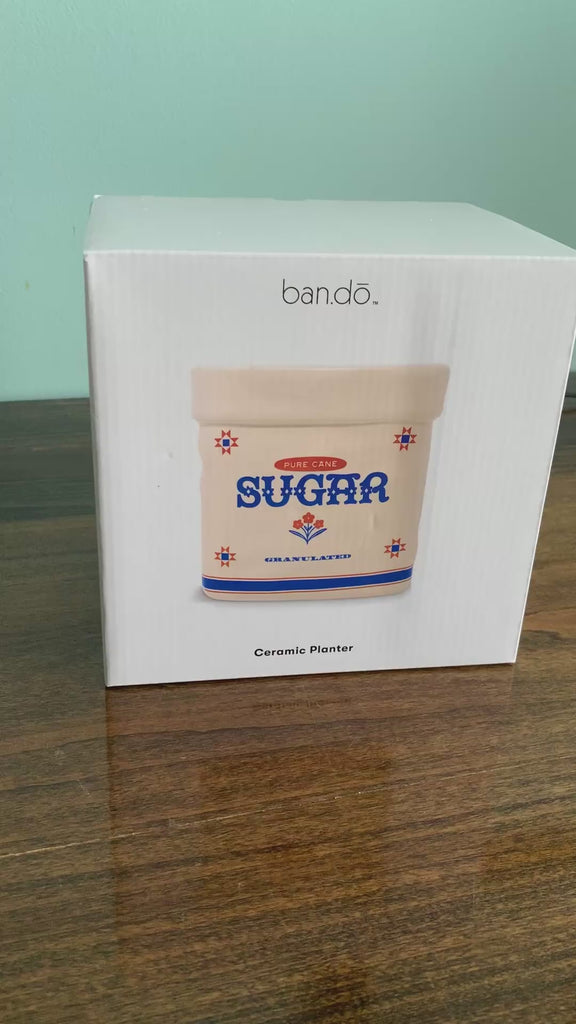 model unboxing pure can sugar ceramic sugar bag vase