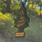 'on the road again' luggage tag hanging from their rearview mirror